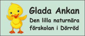 Glada ankan