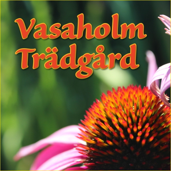 Vasaholm Trädgård